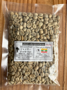 ミャンマー　アマヤーG１